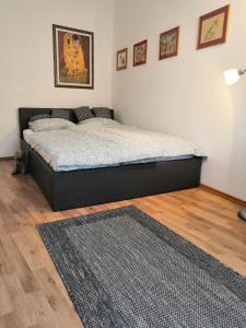 a bed in a bedroom with a rug on the floor at OlivApartment in Budapest
