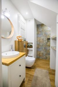 a bathroom with a sink and a toilet at Apartament Kierunek Tatry in Bukowina Tatrzańska