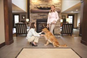 Sonesta ES Suites Toronto Markham في ماركهام: امرأتان يلعبان مع كلب في غرفة المعيشة