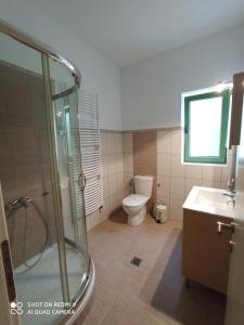 y baño con ducha, aseo y lavamanos. en Villa Sklithro in the heart of the forest with magnificent view of the sea just 10 minutes from it, en AgiaKampos