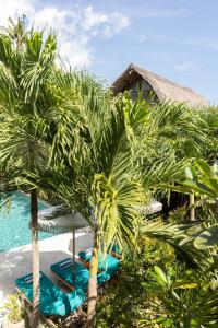 Bazén v ubytování Tigerlillys Boutique Hotel nebo v jeho okolí