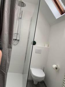 een witte badkamer met een toilet en een douche bij Ferienhaus Lilly am Silbersee in Frielendorf
