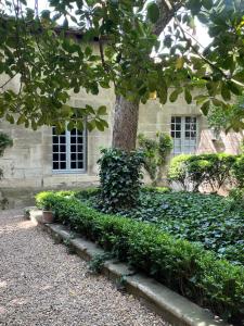 Photo de la galerie de l'établissement Face au Palais, à Avignon