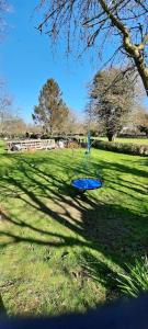 a blue frisbee in the middle of a field at Sycamore Lodge Kent With EV Zappi type 2 in Sellindge