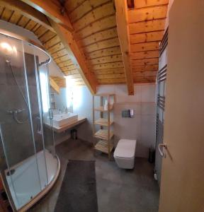 y baño con ducha, aseo y lavamanos. en Riviera Lipno 415, en Lipno nad Vltavou