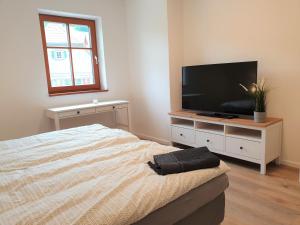 TV a/nebo společenská místnost v ubytování Vogels's Mühle