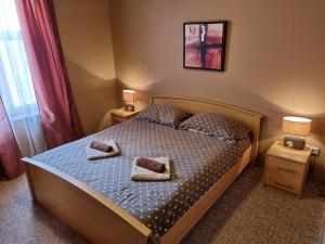 een slaapkamer met een bed met twee handdoeken erop bij Apartment Lilly in Kali