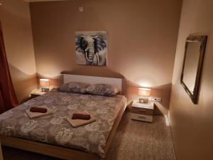 een slaapkamer met een bed met twee handdoeken erop bij Apartment Lilly in Kali