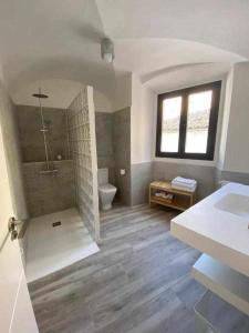 a bathroom with a shower and a toilet and a sink at Torre del Postigo By KubiK in Cáceres