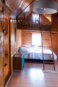 a bedroom with a bunk bed and a ladder at Korbielówka in Korbielów
