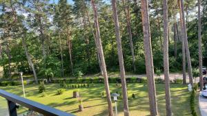 Vonkajšia záhrada v ubytovaní Apartament nad jeziorem , ZEFIR