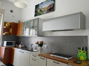 Kuchyňa alebo kuchynka v ubytovaní Appartamento TOP Torino ideale per eventi al Inalpi Arena ex Isozaky ed al Lingotto e per visitare il Centro Città e le Langhe