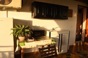 a kitchen with a table with a plant on it at HORIZON 180° in Le Bois de Nèfles
