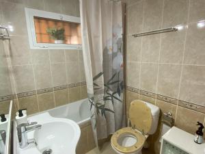 a small bathroom with a toilet and a sink at Studio Pinar in Sitio de Calahonda +13 photos