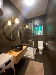 ein Badezimmer mit einem Waschbecken, einem WC und einem Spiegel in der Unterkunft Apartmani Cvita in Neviđane
