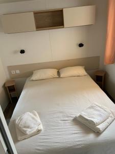 ClaoueyにあるAu viviers camping Siblu sublime bungalowのギャラリーの写真