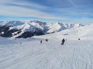 Gallery image of Haus Dora Apartment 3 Ahorn in Mayrhofen