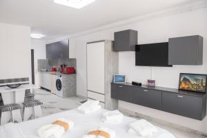 皮亚特拉-尼亚姆茨Apart Hotel Center的客厅设有白色墙壁的厨房