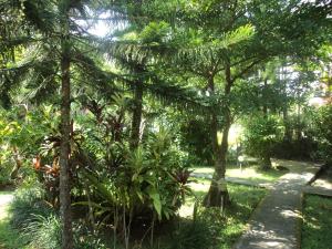 a garden with trees and plants and a path at Villa Bhuana Alit in Ubud