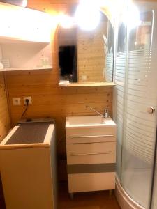 een kleine badkamer met een wastafel en een douche bij Chambre studio cuisine indépendant 2 pers piscine in Rousson