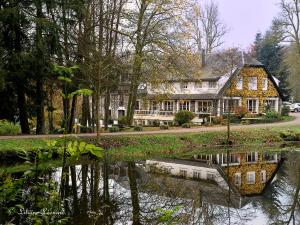 ein Haus mit einem Teich davor in der Unterkunft Hôtel Les Ardillières du Pont d'Oye in Habay-la-Neuve