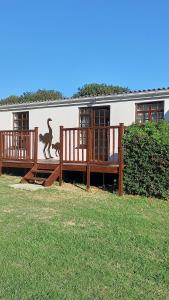 a building with a monkey mural on the side of it at Faithlands Self-Catering Cottages in Port Elizabeth