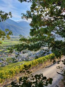 a view of a city from a hill with trees at La Terrasse in Fully