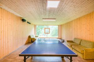 Stolní tenis v ubytování Hotel NockResort nebo okolí