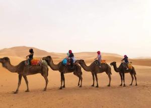 a group of people riding on camels in the desert at Hotel Riad Le Petit Prince in Merzouga