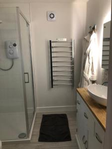 a bathroom with a shower and a sink and a mirror at Creekside Lodge Bathpool Launceston Cornwall in Launceston