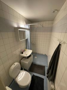 Baño pequeño con aseo y lavamanos en Apartment in Stockholm, 48m2 in Mariatorget Södermalm, en Estocolmo