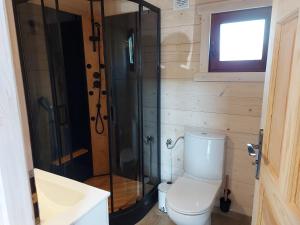 a bathroom with a toilet and a glass shower at Domki na zaciszu w Rynie in Ryn