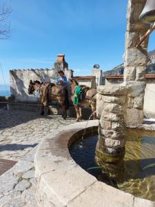 Hosté ubytování B&B La Formichella