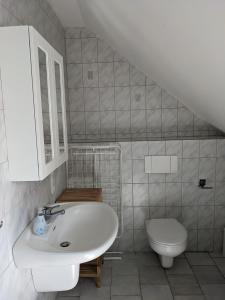 a bathroom with a sink and a toilet at Haus Eisfenn in Blankenheim +21 photos