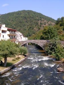 a stone bridge over a river in a town at LA BOULZANE in Puilaurens