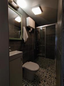 ein Bad mit einem WC, einem Waschbecken und einer Dusche in der Unterkunft Brīvdienu namiņš in Salacgrīva