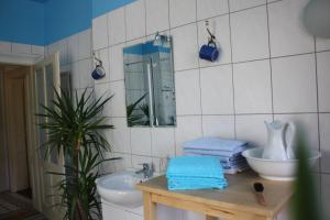 y baño con lavabo, aseo y espejo. en Chez Pierre, en Lunz am See