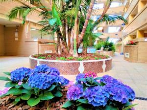 Ein Garten an der Unterkunft ACV - Costa Caribe II-2ª Linea Planta 4 Sur