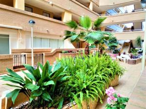 Ein Garten an der Unterkunft ACV - Costa Caribe II-2ª Linea Planta 4 Sur