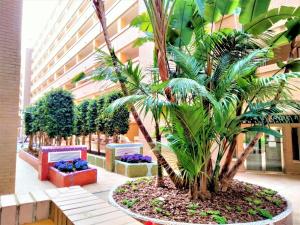 Ein Garten an der Unterkunft ACV - Costa Caribe II-2ª Linea Planta 4 Sur