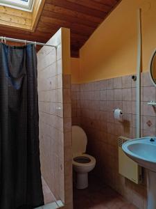 a bathroom with a toilet and a sink at Penzion Rudolf in Liberec