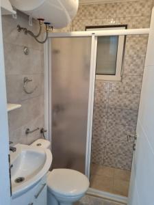 een badkamer met een douche, een toilet en een wastafel bij NJEGUSI OASIS - a place to charge your batteries! in Njeguši