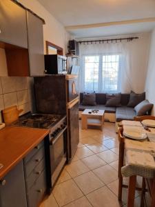 a kitchen and living room with a stove and a couch at Apartmani Petra in Pula
