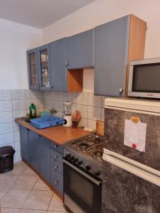 Kuchyň nebo kuchyňský kout v ubytování Apartmani Petra