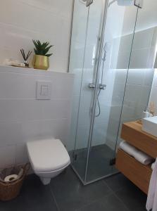 ein Bad mit einem WC und einer Glasdusche in der Unterkunft COCO in Veliko Gradište