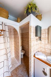 a bathroom with a toilet and a sink at Maison d'hôtes Payan Champier in Saint-Paul-Trois-Châteaux