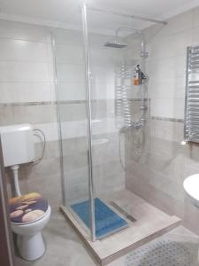 a bathroom with a shower and a toilet at La Zinculescu in Albeştii Pămînteni