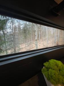 Fotografie z fotogalerie ubytování Domek na drzewie Ceprowo v destinaci Szczyrk