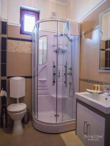 a bathroom with a shower and a toilet and a sink at Hotel Galany in Rădăuţi