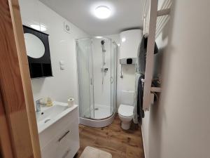 a bathroom with a shower and a toilet and a sink at Domki na Krzywej Łące in Krajanow +20 photos